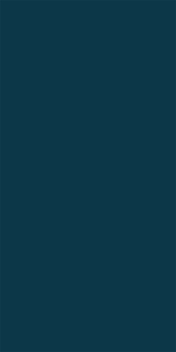 Design #27132 - Blue Morpho