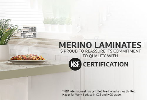 NSF Banner Mobile