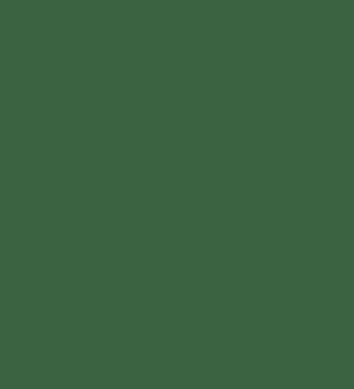 Soild Color